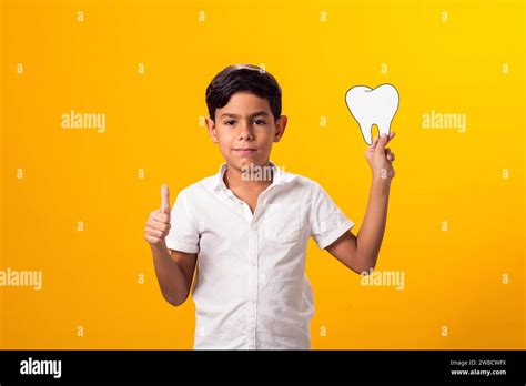 Boy Holding Papercraft Tooth Dental Health Concept Stock Photo Alamy