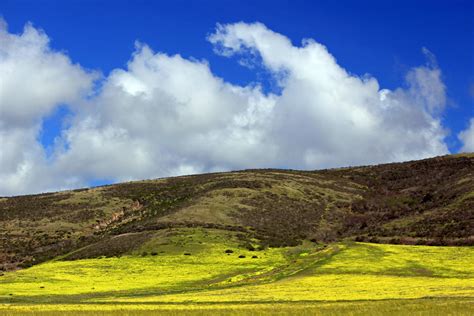 Elevation Of Kings Mountain Road And Skyline Boulevard Kings Mountain Rd