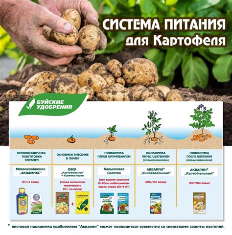 Картофель (50 кв.м.) | «Буйский химический завод» | Интернет-магазин ...
