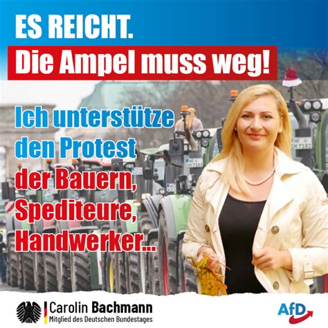 Carolin Bachmann AfD Ihre Abgeordnete Im Deutschen Bundestag