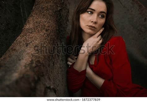 Sensual Brunette Wearing Red Dress Sitting Stock Photo Shutterstock