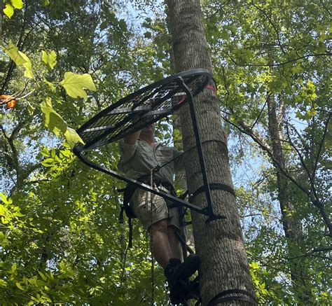 A Detailed Millennium M360 Treestand Review