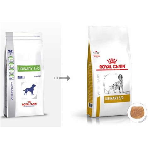 Состав, инструкция и обзор лечебного корма Уринари для котов от Royal Canin