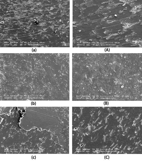 Scanning electron microscopy (SEM) images of worn surfaces of ...