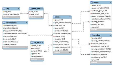 Mysql Database Example