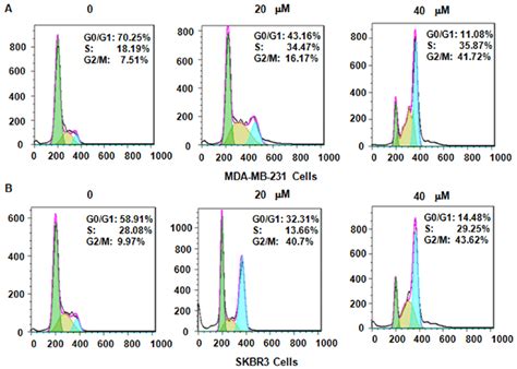 Genistein Induces Cell Cycle Arrest Of Breast Cancer Cells In G M