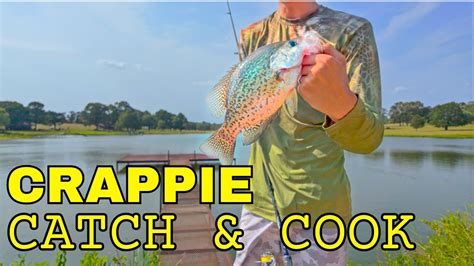 Giant Crappie Catch And Cook Crappie Fishing Youtube