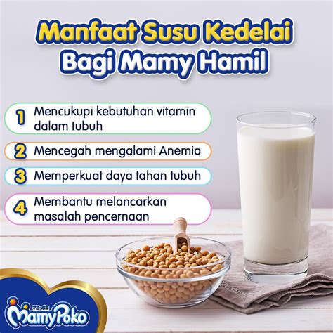 Manfaat Susu Kedelai Bagi Mamy Hamil Mamypoko Indonesia