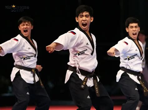 List Of All Tkd Formstaekwondo Forms Poomsae