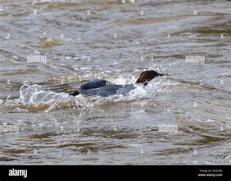 Please allow me to introduce myself. My name is Mick Durham and I'm