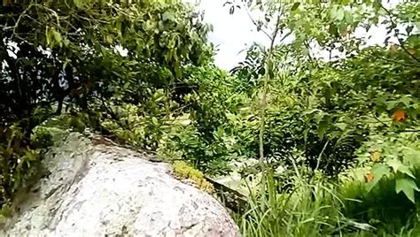 Handjob And Cum In Public Gay Amateur Porn Feat MrBarbas26 XHamster