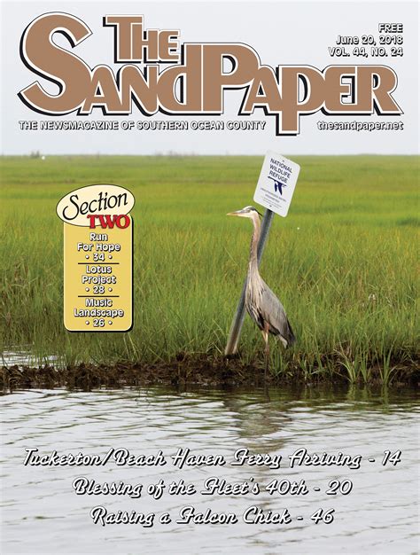 Sandpaper Lbi News at Lori Allan blog