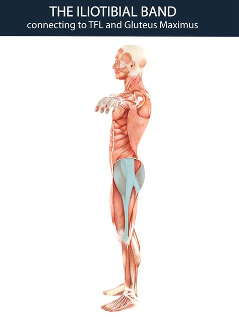 Why Do Runners Fear An ITB Injury? | The Lyno Method