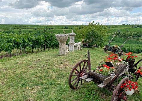 Romanian Wine Tasting: Finding Feteasca Neagra in Dracula Country