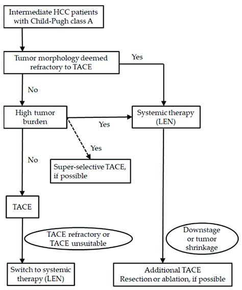 Treatment Strategy For Barcelona Clinic Liver Cancer Bclc Download Scientific Diagram