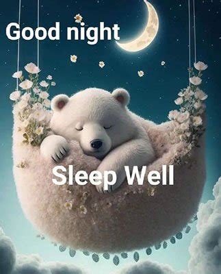 funny good night messages  wishes  sweet dreams
