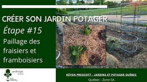 Cr Er Un Jardin Potager Tape Paillage Des Fraisiers Et Des