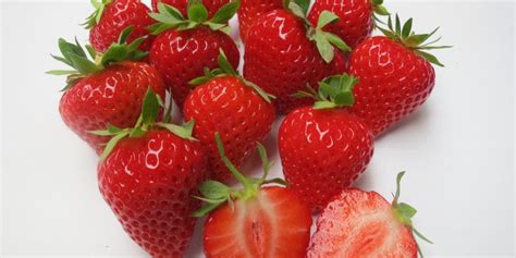 Главная страница