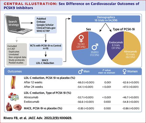 Sex Differences In Cardiovascular Outcomes And Cholesterol Lowering