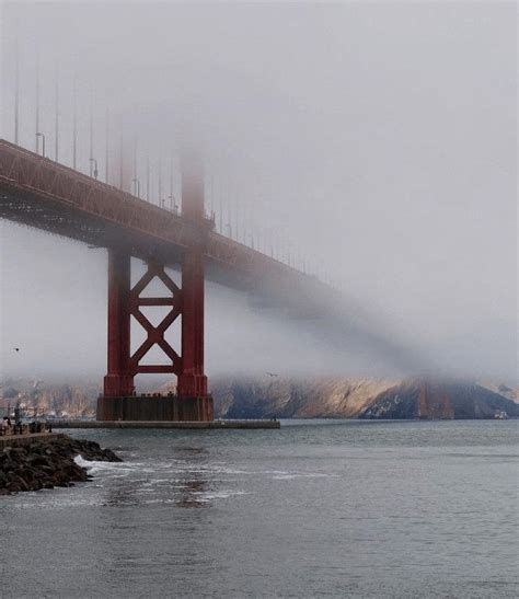 Golden Gate Bridge In Fog Rmegalophobia