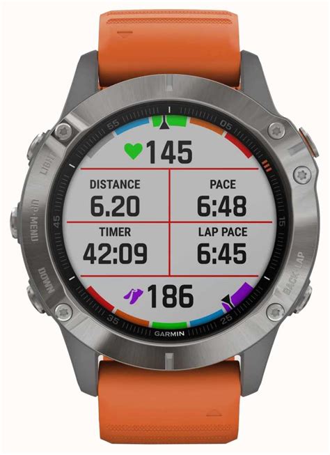 Garmin Fenix X Pro Sapphire Ppgbbe Intranet Biologia Ufrj Br