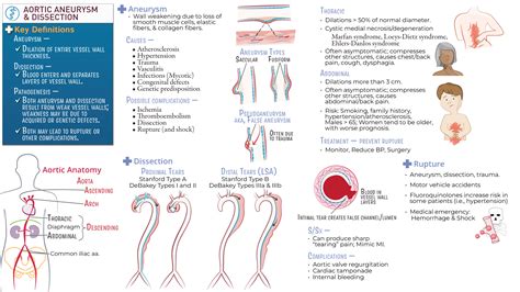 Clinical Pathology Aortic Aneurysm Dissection Ditki Medical