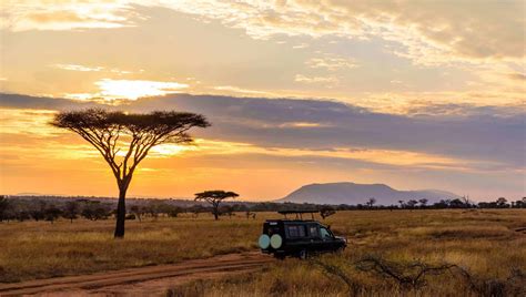 Kruger National Park to allow self-drive excursions from 8 June