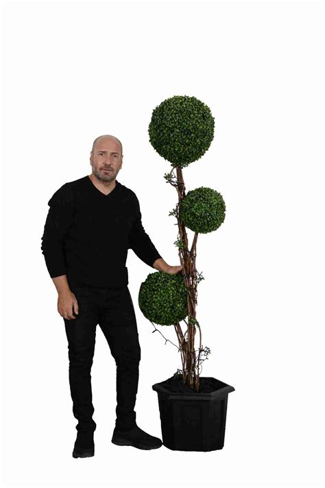 Large Artificial Topiary Trees | Chordiem