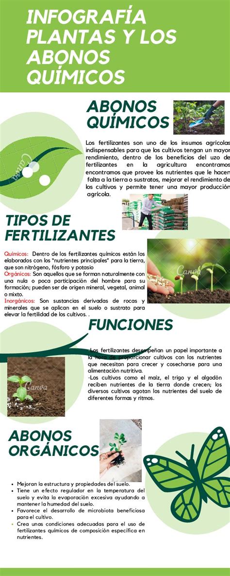 Educación filete Sur propiedades de fertilizantes apilar vena niña