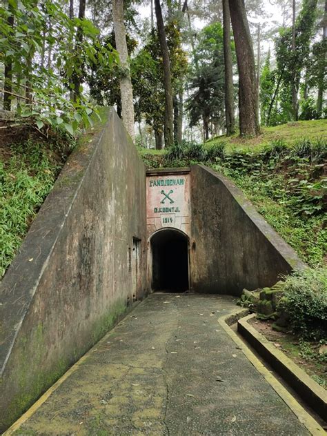 Tahura Gunung Kunci Wisata Alam Plus Sejarah Di Sumedang