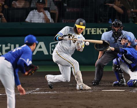 【虎になれ】岡田阪神目立った“犠打攻撃”セ犠打トップ木浪聖也、自己犠牲の精神で後半も粘れ！ 虎だ虎だ虎になれ！ 野球コラム写真ニュース