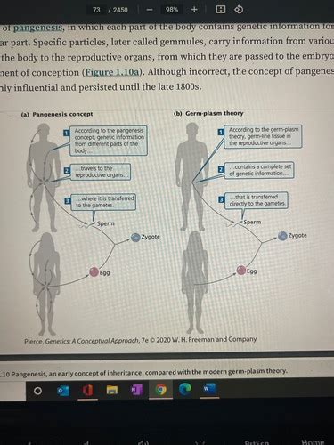 Genetics Final Exam Review Flashcards Quizlet