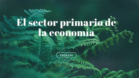 Sector Primario De La Economía