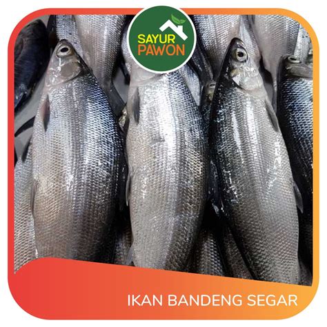 Jual Ikan Bandeng Segar Per Gr Sayur Pawon Jogja Shopee Indonesia