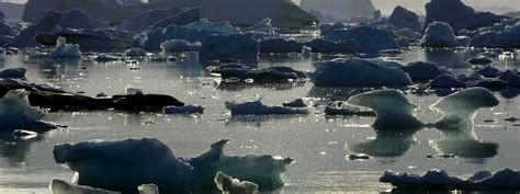 La Calotte Glaciaire A Perdu 160 Milliards De Tonnes De Glace En