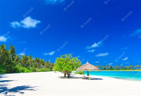 Premium Photo | Tropical beach in maldives