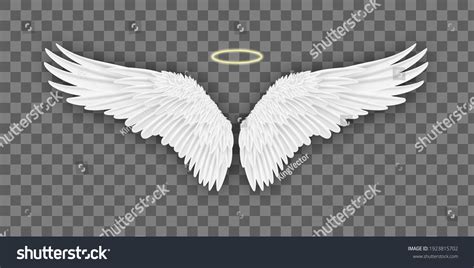 Right Angel Wing Realistic