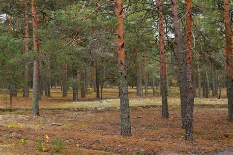 Образовательный маршрут по селу "Люби и знай свой край"
