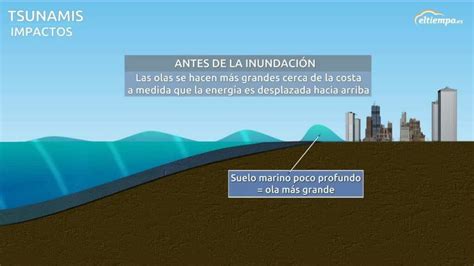 Cómo se forman los tsunamis y por qué se originan Eltiempo es