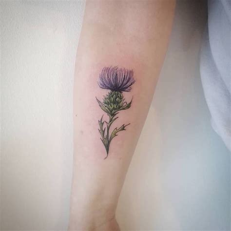 Thistle Tattoo Ideas - Tattoo Designs for Women - Flower