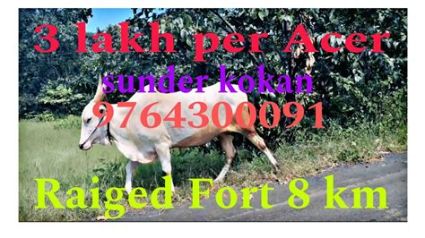 Agriculture Plot For Sale In Kokan Kokan Low Budget Agriculture Plot