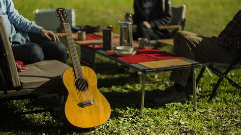 csf gallery acoustic guitars guitars basses amps musical