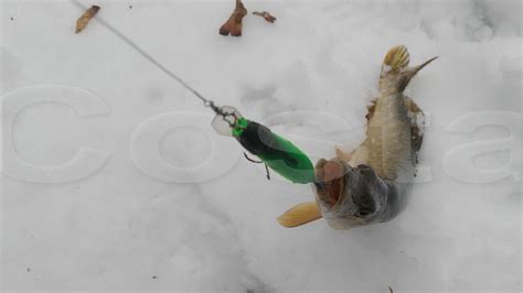 FishComm Shop: Воблер на щуку Kosadaka Costa XS 80F. Открытие сезона ...