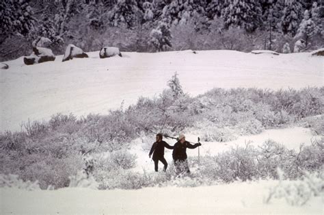 Winter landscape with snow at Acadia National Park, Maine image - Free ...