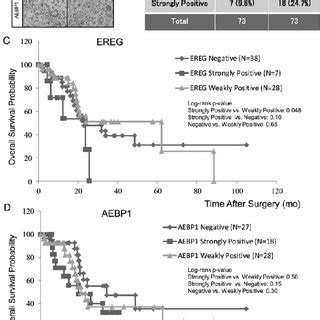 Immunohistochemical Analysis Of Ereg And Aebp In Gbm A