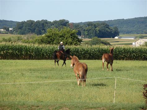 Farm Intercourse Pa Karen Starkey Flickr