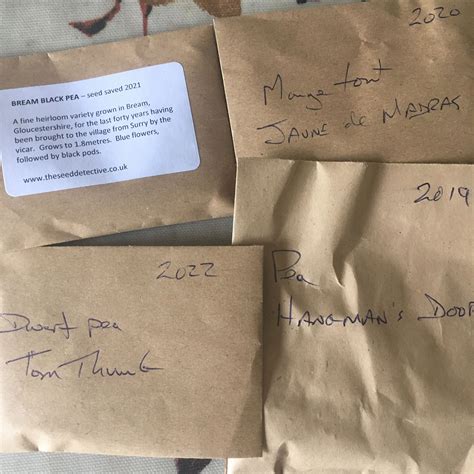 Give Peas A Chance Sex In The Garden Spring In Your Step Popeye Goes Pink Lynne Allbutt