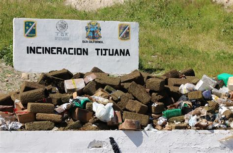 Incineran M S De Toneladas De Drogas En Tijuana S Ntesis Tv