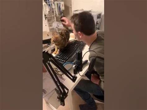 Кот уронил монитор #shorts - YouTube