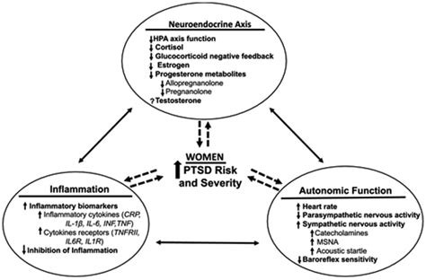 Sex Differences In Post Traumatic Stress Disorder Risk Autonomic Control And Inflammation